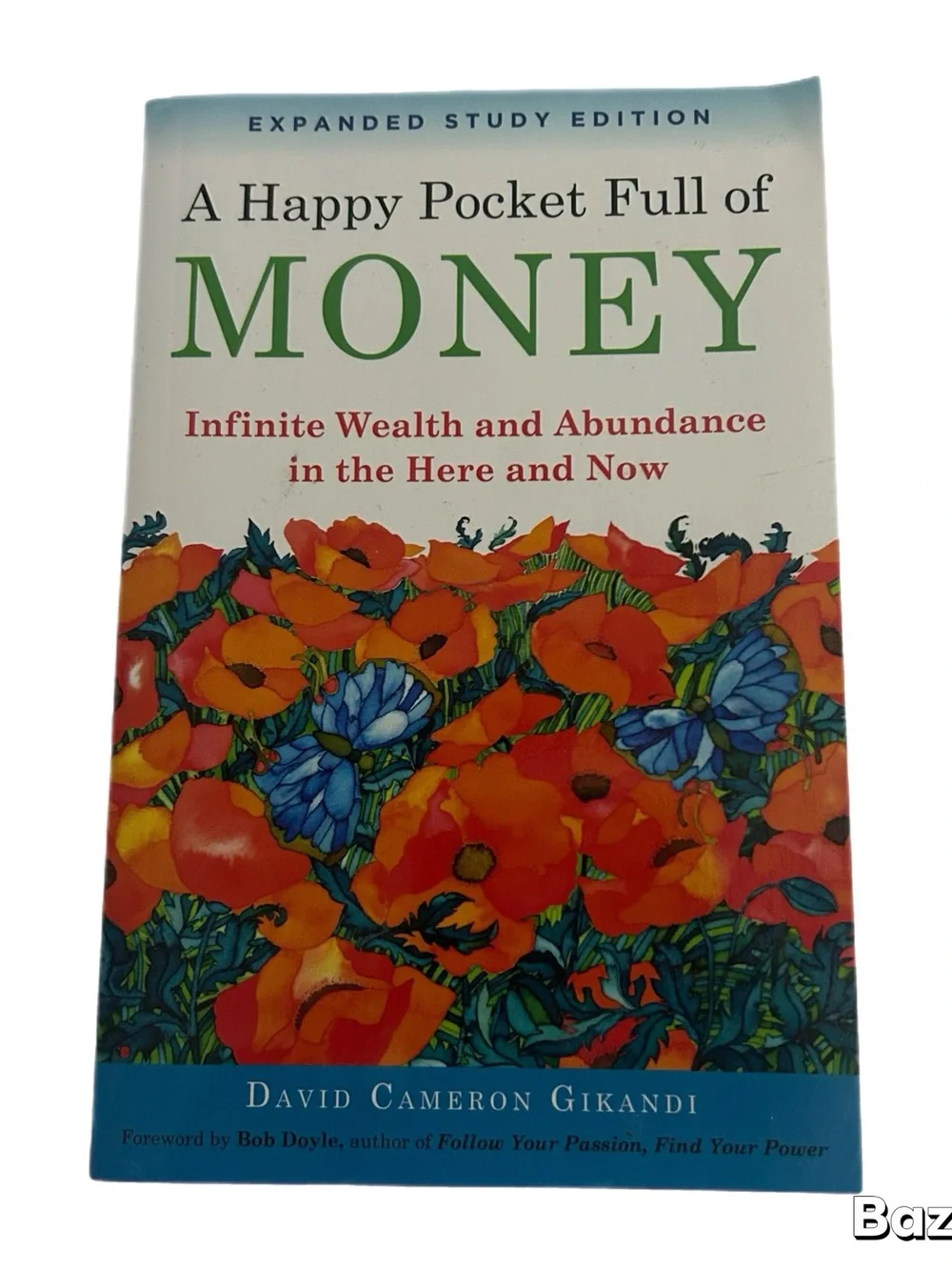 A Happy Pocket Full of Money (Green/Red) by David Cameron Gikandi